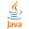 custom java software